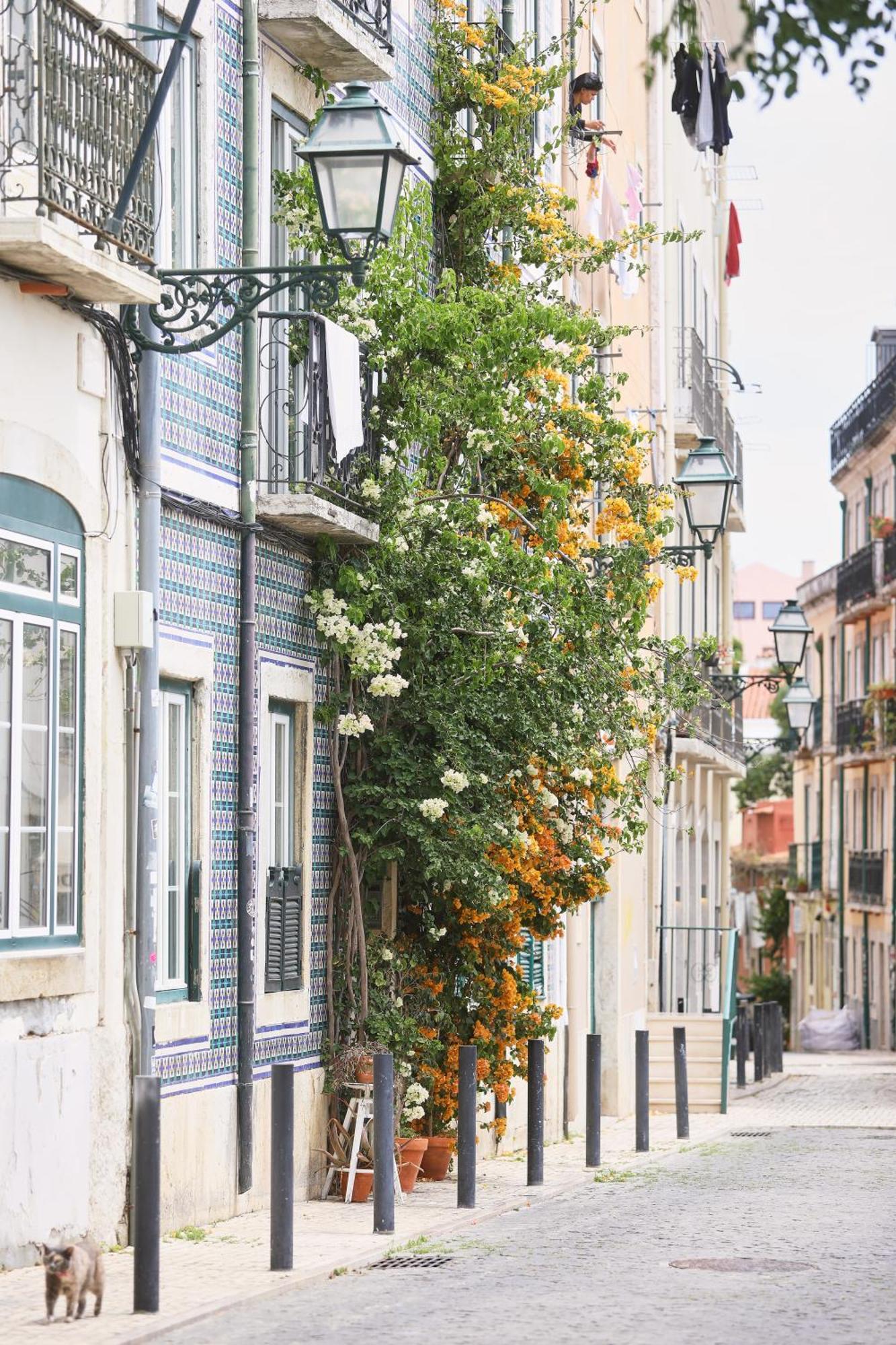 Bica Little House By Spoton Apartments Lisboa Chambre photo